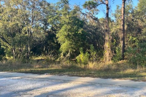 Terrain à Webster, Floride № 2105780