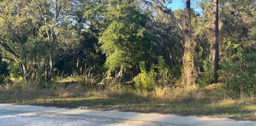 Land in Webster, Florida № 2105780