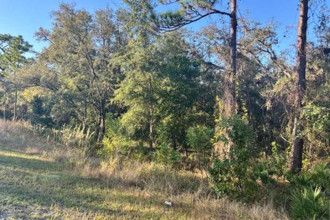 Land in Webster, Florida № 2105780 - photo 2