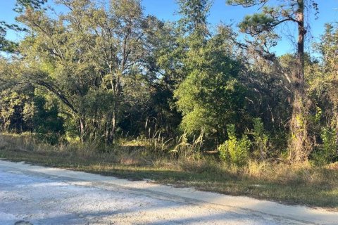 Land in Webster, Florida № 2105780 - photo 6