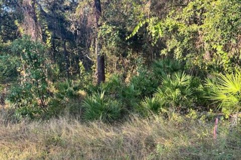 Land in Webster, Florida № 2105780 - photo 3