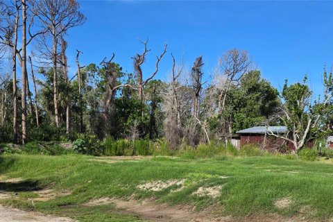 Land in Englewood, Florida № 1782398 - photo 3