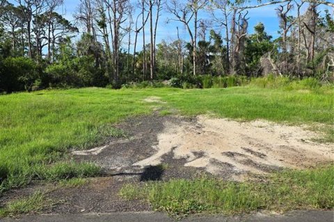 Land in Englewood, Florida № 1782398 - photo 2