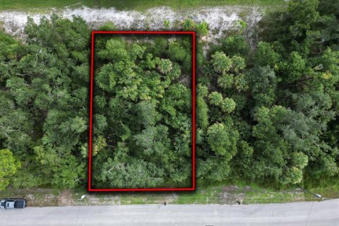 Land in North Port, Florida № 2165757 - photo 3