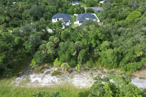 Land in North Port, Florida № 2165757 - photo 4