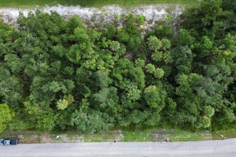 Land in North Port, Florida № 2165757 - photo 5