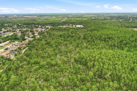 Land in Deltona, Florida № 2227926 - photo 12