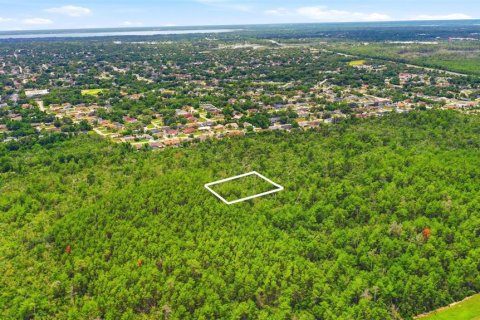 Land in Deltona, Florida № 2227926 - photo 25