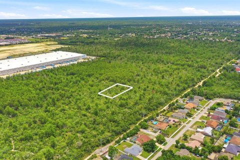 Land in Deltona, Florida № 2227926 - photo 9