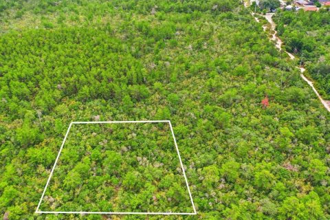 Land in Deltona, Florida № 2227926 - photo 15