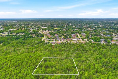 Land in Deltona, Florida № 2227926 - photo 11
