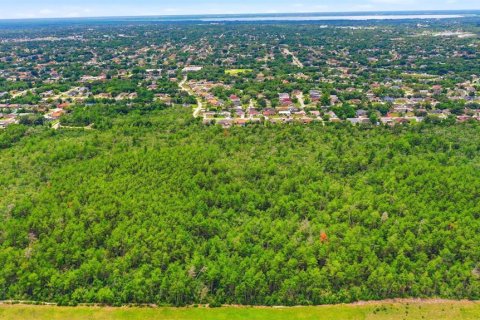 Land in Deltona, Florida № 2227926 - photo 22