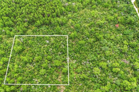 Land in Deltona, Florida № 2227926 - photo 17