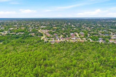 Land in Deltona, Florida № 2227926 - photo 10