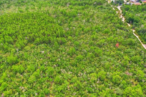 Land in Deltona, Florida № 2227926 - photo 14