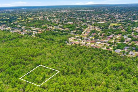 Land in Deltona, Florida № 2227926 - photo 21