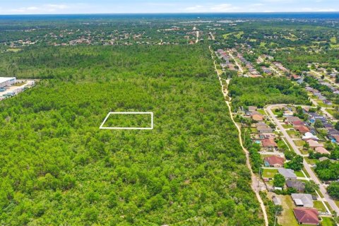 Land in Deltona, Florida № 2227926 - photo 19