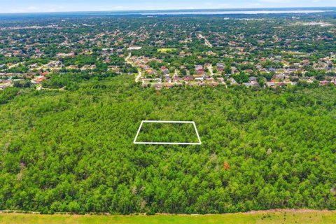 Land in Deltona, Florida № 2227926 - photo 23