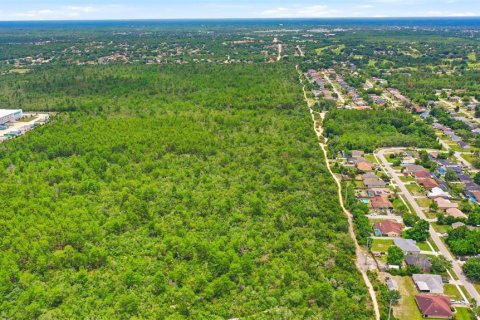 Land in Deltona, Florida № 2227926 - photo 18