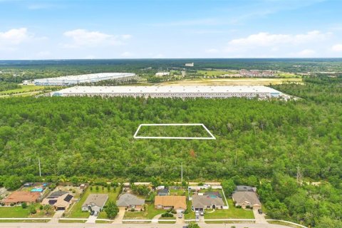 Land in Deltona, Florida № 2227926 - photo 3