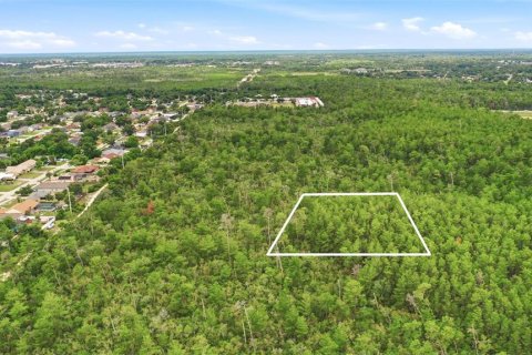 Land in Deltona, Florida № 2227926 - photo 13