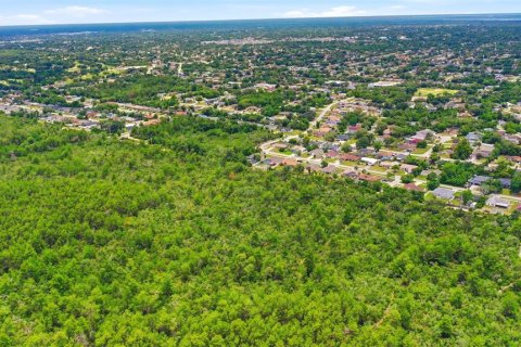 Land in Deltona, Florida № 2227926 - photo 20