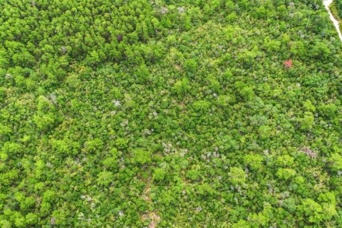 Land in Deltona, Florida № 2227926 - photo 16