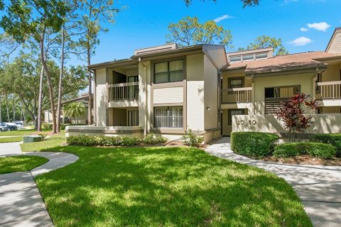 Condo in Oldsmar, Florida, 2 bedrooms  № 2227137