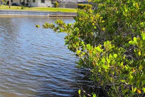 Land in Port Charlotte, Florida № 2214672 - photo 3