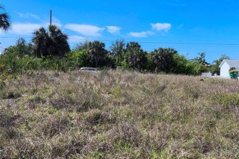 Land in Port Charlotte, Florida № 2214672 - photo 9