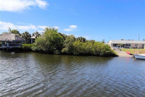 Land in Port Charlotte, Florida № 2214672 - photo 4