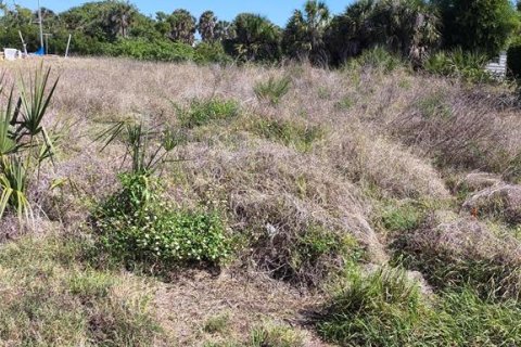 Land in Port Charlotte, Florida № 2214672 - photo 2