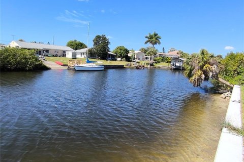 Land in Port Charlotte, Florida № 2214672 - photo 6