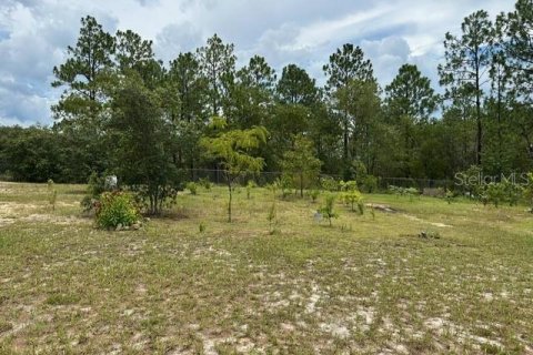 House in Dunnellon, Florida 3 bedrooms, 138.15 sq.m. № 1885550 - photo 23