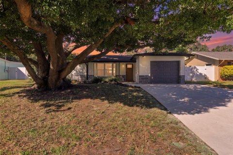 Villa ou maison à Seminole, Floride 4 chambres, 155.52 m2 № 2426909