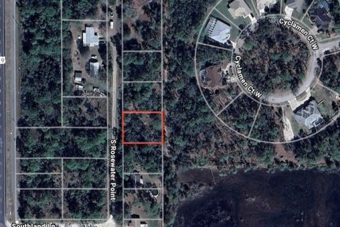 Terrain à Homosassa, Floride № 2161152