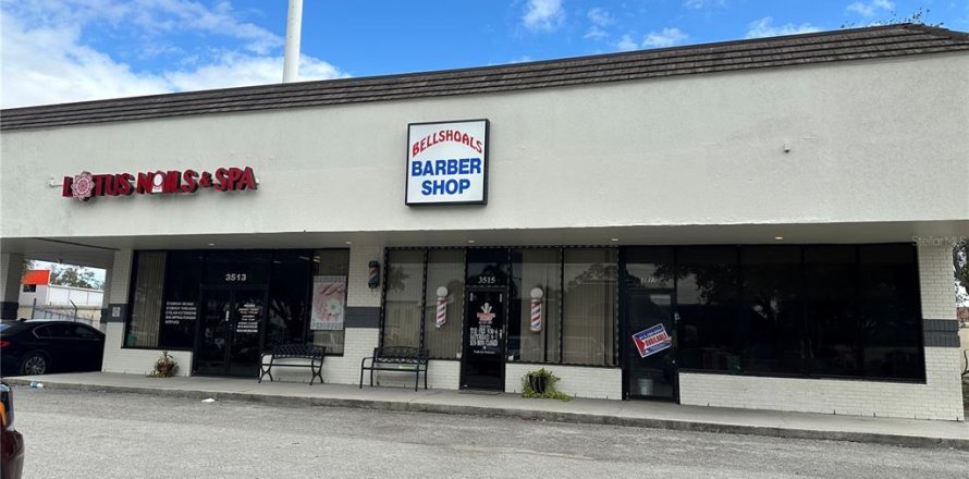 Propiedad comercial en Valrico, Florida 124.77 m2 № 1521014
