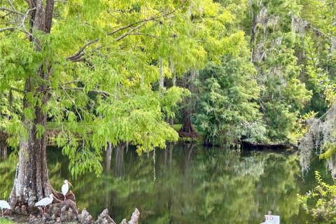 Land in Bowling Green, Florida № 2166592 - photo 24