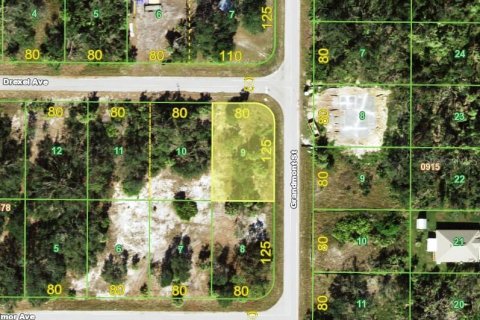 Land in Port Charlotte, Florida № 2159541