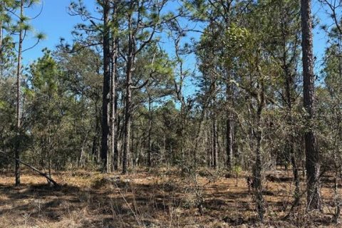 Land in Dunnellon, Florida № 2159000