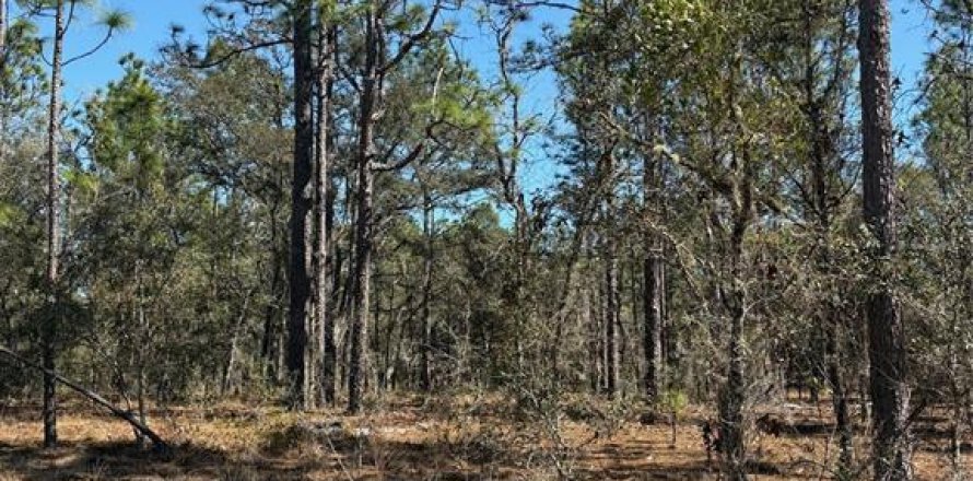 Land in Dunnellon, Florida № 2159000