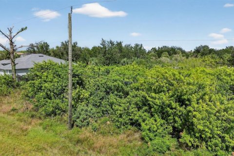 Land in Port Charlotte, Florida № 2155597