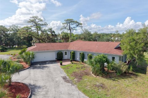 House in Crystal River, Florida 4 bedrooms, 260.31 sq.m. № 2102292 - photo 4