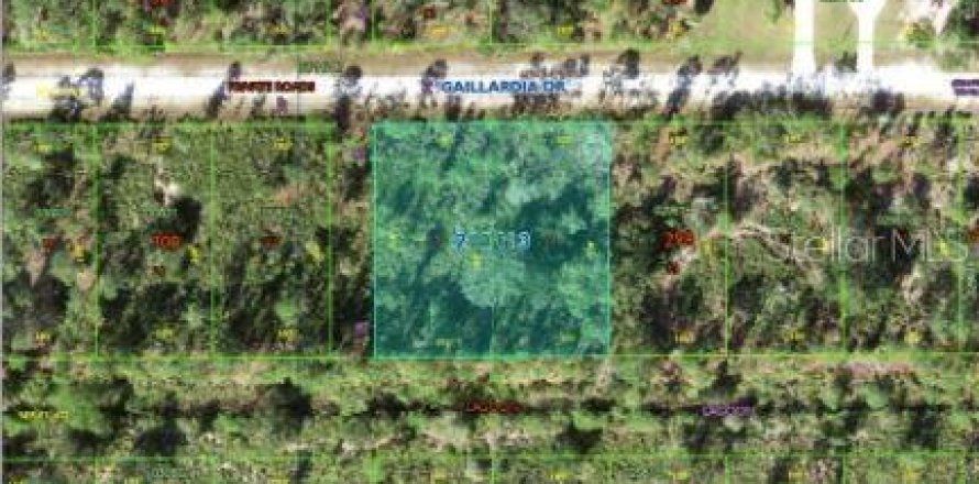 Terreno en Indian lake estates, Florida № 1750723