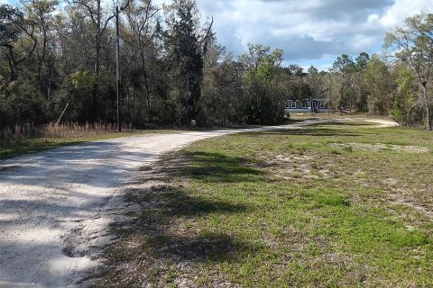 Land in Bronson, Florida № 2160518 - photo 7