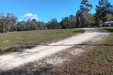 Land in Bronson, Florida № 2160518 - photo 5