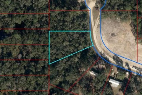 Land in Bronson, Florida № 2160518