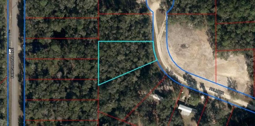 Land in Bronson, Florida № 2160518