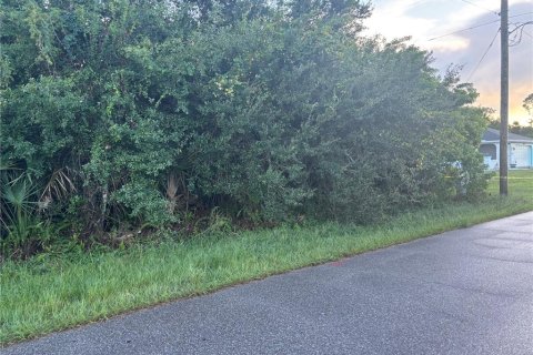 Land in Port Charlotte, Florida № 2195193 - photo 2