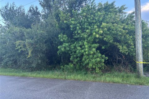 Land in Port Charlotte, Florida № 2195193